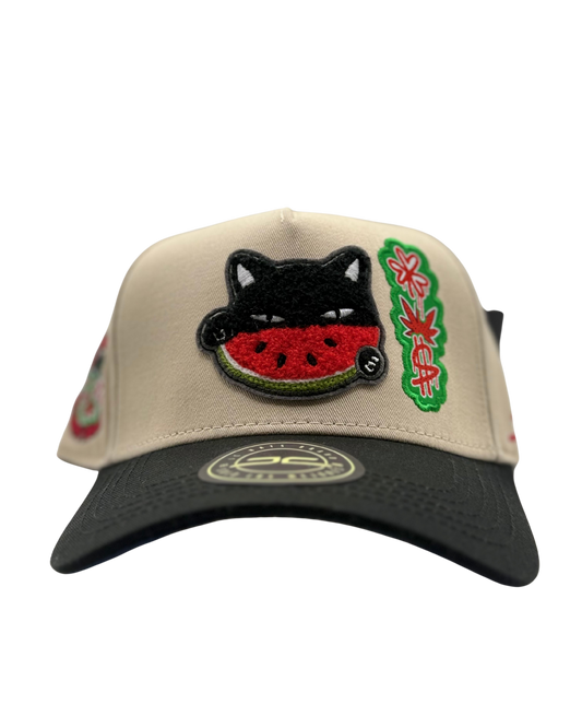 GORRA JC HATS  WATERMELON CAT